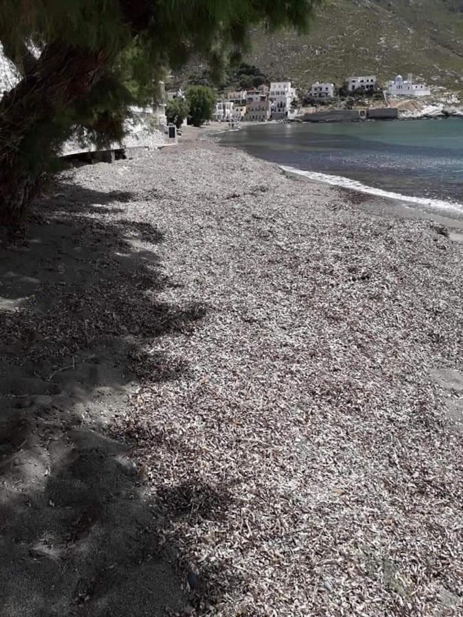 Kalymnos Beach House Panormos  Exterior foto
